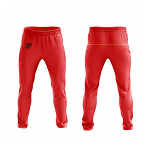Ensemble de maillot et pantalon de cricket personnalisé avec logo OEM, design complet, sublimation, uniforme de cricket, vêtements de sport - Product Image 3