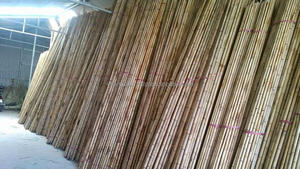 Mini piquets en bambou Tonkin naturel de 60 cm, droits et secs, matière première par VIFARMEX - Product Image 2