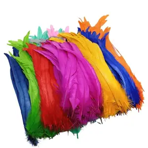 Wholesale Selected 10-12inch Bleached Dyed Rooster Tail Feathers for Carnival Costume and Samba Dance 15+ Colors to Pick Up