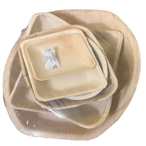 250-Piece Biodegradable Bamboo Dinnerware Set White Natural Compostable Palm Leaf Plates Knives Forks Kitchen <b>Supplies</b> Plant - Product Image 2