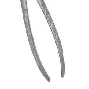 Forceps d'extraction dentaire manuels en acier inoxydable pour usage chirurgical et orthodontique, qualité A+, à vendre - Product Image 3