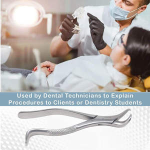 Forceps d'extraction dentaire en acier inoxydable certifié CE, poignée moletée, 16 positions de mâchoires, instrument chirurgical manuel - Product Image 3