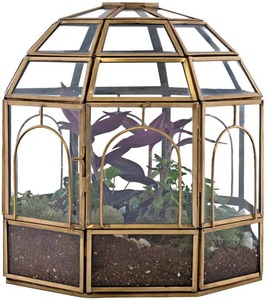 Terrario de Vidrio de Lujo para Centro de Mesa de Sala de Estar y Decoración Interior Premium con un Atractivo Decorativo Elegante - Product Image 3