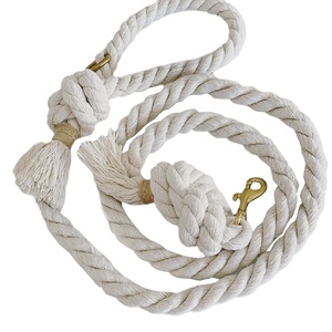 Corde Chien Laisse Nylon Corde Formation Slip Laisse Chien Laisse Pet Rétractable Animaux Laisses Chiens Cordes à Vendre Accessoires - Product Image 1