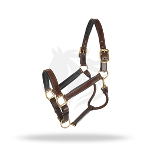 Harnais en cuir rembourré pour cheval avec boucles réglables et ferrures en laiton - Product Image 2