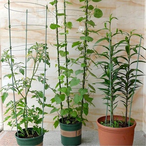 Fiberglass plant <b>support</b> pole for <b>Tomato</b>,Flowers,Garden - Product Image 4