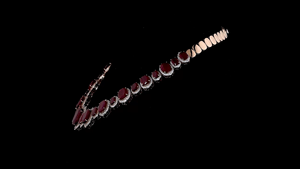 Collar de Plata de Diseño con Diamantes Cultivados en Laboratorio y Piedras de Imitación de Rubí Rojo |   Joyería nupcial | Joyería nupcial de lujo - Product Image 4