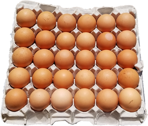 ไข่ไก่ขาวน้ำตาลสดจากฟาร์มปี 2026 คัดสรรสำหรับผู้ซื้อขายส่ง  เปลือกสะอาด บรรจุภัณฑ์กล่องใหญ่  สำหรับส่งออก  จัดส่งไปยังเปอร์โตริโก - Product Image 4