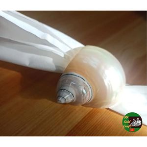 Porta Servilletas de Concha Hecho a Mano en Vietnam, Accesorio Decorativo Premium para Hoteles y Restaurantes - Product Image 1