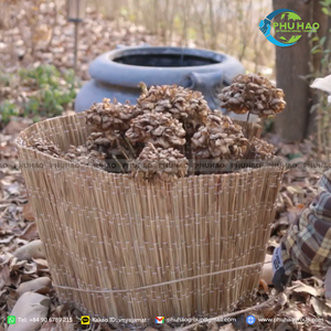 Hot Item sedge <b>mat</b> used for plant pot and trunk covering 100 percent natural eco friendly tree wrap <b>roll</b> for nursery garden - Product Image 3