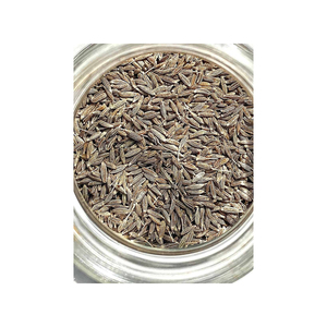 Semillas de Comino al por Mayor, Alta Calidad, Venta Directa de Fábrica, Precio de Fábrica, Crudas y Secas, Alemania, Empaque de 25 y 50 kg, Directamente del Productor - Product Image 1