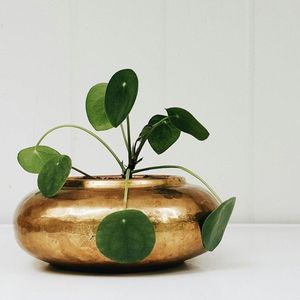 กระถางต้นไม้โลหะตกแต่งสวนทันสมัย สำหรับตกแต่งภายในและภายนอกอาคาร ภาชนะจัดเก็บสำหรับระเบียง ดีไซน์โมเดิร์น - Product Image 1