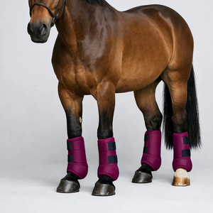 Nouvelles Bottes d'Équitation Tendance en Néoprène, Absorbant les Chocs, Respirantes, Durables, Protection des Jambes de Cheval, Service OEM - Product Image 1