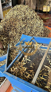 Glycyrrhiza glabra รากชะเอมเทศจากเวียดนามขายส่งสมุนไพรธรรมชาติคุณภาพสูงมาก - Product Image 3