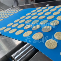 Machine à fabriquer des biscuits sur mesure, machine à former des biscuits rotative, machine à mouler les biscuits pour la fabrication automatique de biscuits pour les petites entreprises