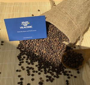 Pimienta Negra de Alta Calidad de Proveedores Vietnamitas 570G/L FAQ Limpia con Aroma Picante para Venta al por Mayor en Grandes Cantidades y Procesamiento en Crudo - Product Image 4