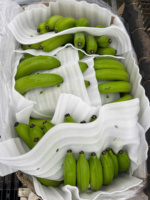 Vietnam Geteelde Cavendish Bananen Met Gladde Gele Schil Zoete Smaak Ideaal Voor Winkelketens Groothandel En Wereldwijde Verzending