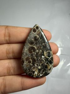 Cabujón de ágata Turritella en forma de corazón, mineral pulido para la fabricación de joyas - Product Image 1