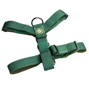 Comfort Control No Pull Dog Harness Green Breathable Design <b>Adjustable</b> <b>Straps</b> Front Leash Clip for Training Walks - Product Image 1