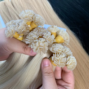 Extensions de Cheveux Naturels de Qualité Luxe 100% Vierge Vietnamiennes Super Double Drawn Pré-Collées avec Brillance Naturelle et Ondulations - Product Image 1