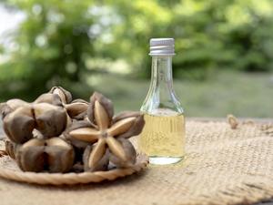 Huile de Sacha Inchi pure et naturelle, riche en Oméga 3, 6 et 9, pour les soins de santé et de beauté. - Product Image 2