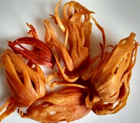 Factory Direct Sale Mace Spice (Javitri) Whole and Sun-Dried for Hot Pot Condiments Cooking & Beverages