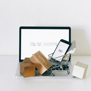 Services de développement de boutiques d'accessoires mobiles avancés : Conception de boutiques en ligne de téléphonie mobile saisissantes pour le succès - Product Image 2