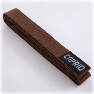 Cinturón y Faja de Artes Marciales Personalizados, Cinturón de Rango de Algodón Premium para Karate, Taekwondo, Judo, Kung Fu, para Entrenamiento y Competición - Product Image 2