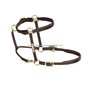 Cabestro de Cuero Genuino Suave con Placa de Nombre de Latón Personalizada y Herrajes Ajustables - Product Image 6