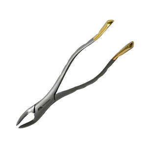 Forceps d'extraction dentaire Instruments chirurgicaux pour racines Instruments dentaires Forceps d'extraction dentaire en acier inoxydable par Dentavex - Product Image 3