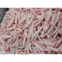 Pattes de poulet congelées, pattes de poulet transformées du Brésil, pattes et pieds de poulet congelés de qualité A