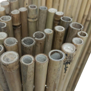 รั้วไม้ไผ่ธรรมชาติเวียดนามสำหรับสวนกลางแจ้ง เสาไม้ไผ่สีเขียว - Product Image 3