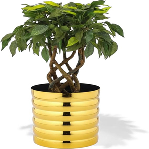 Premium Golden Ribbed Metal Planter Polished Mild Steel Decorative Flower <b>Pot</b> for Indoor Plants <b>Succulents</b> Metal <b>Pots</b> - Product Image 2