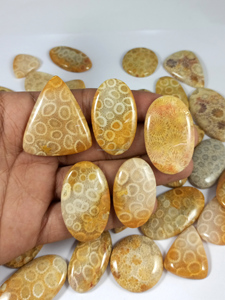 Natural Fossil Coral Loose Gemstone 20-35mm Yellow Mix Shapes for Jewelry Designing Wholesale Price - Product Image 6
