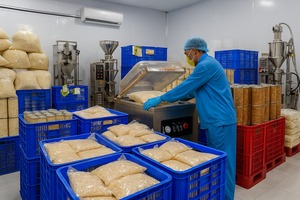 Roasted Coconut Crunchy Coconut Slices For Snack Topping And Confectionery Use Vietnam Manufacturer - Product Image 2