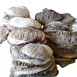 Approvisionnement en gros de qualité supérieure : Omasum de bœuf congelé de qualité alimentaire, en stock, fournisseur d'exportation de confiance - Product Image 5