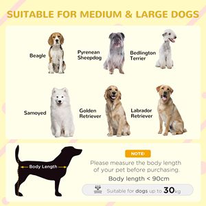 Cuccia per Cani di Taglia Media-Grande in Legno con Veranda, Tetto Inclinato Rettangolare, Porta Anteriore e Finestre Esterne per un Vivere Confortevole - Product Image 3