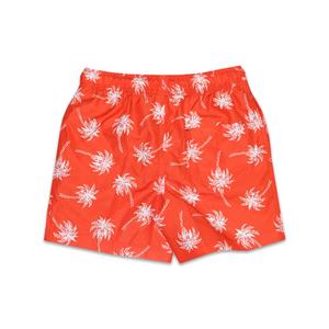 Shorts décontractés populaires 2026 pour garçons, pantalons cinq-quarts de fitness, shorts de plage à séchage rapide, vente en gros - Product Image 2