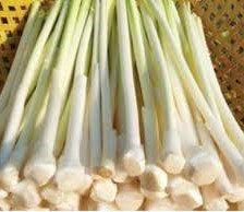 <b>Pickled</b> Bulrush Stem in <b>Jar</b> for Salads and Side Dishes Preserved Vegetable for Culinary Applications - Product Image 4