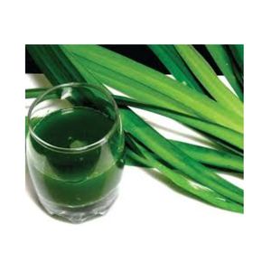 Más vendidos Premium Fresh Pandan Leaves Vietnam Mejor Proveedor de Productos Agrícolas de Frutas Agradable Envasado al Vacío Crudo - Product Image 3