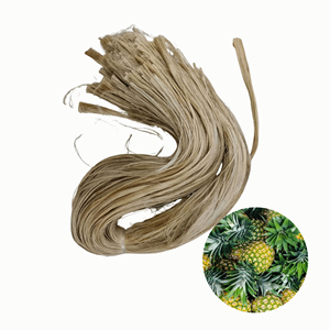 Top Notch Quality Made In Vietnam Top Selling Low Price Industrial <b>Pineapple</b> Leaf Fiber Packed in 10 kg Bag - Product Image 1