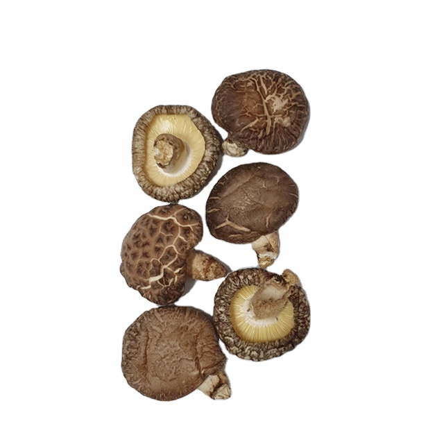 [SMD-45] Korea Authentic Frozen Semi Dried Chewy Natural Jelly Snack Hoshigaki Gift