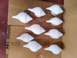 Porte-bougies décoratifs en céramique blanche en forme de coquillage, pour la décoration de table de style côtier, vente en gros, qualité export - Product Image 4