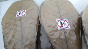 ใบแคทัปป้าอินเดีย ขนาด 11 ซม. ถึง 18 ซม. (4 ถึง 7 นิ้ว) หมายเลข 15 อุปกรณ์เสริมสำหรับสัตว์เลี้ยงในตู้ปลาคุณภาพพรีเมียม - Product Image 4