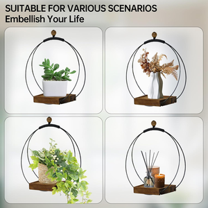 Support de plante suspendu décoratif en métal avec base en bois, porte-plante rond moderne pour la maison, le bureau, le salon, la décoration de table - Product Image 6