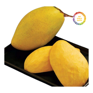 Mangues surgelées à l'exportation – Arôme riche, goût sucré - Product Image 1