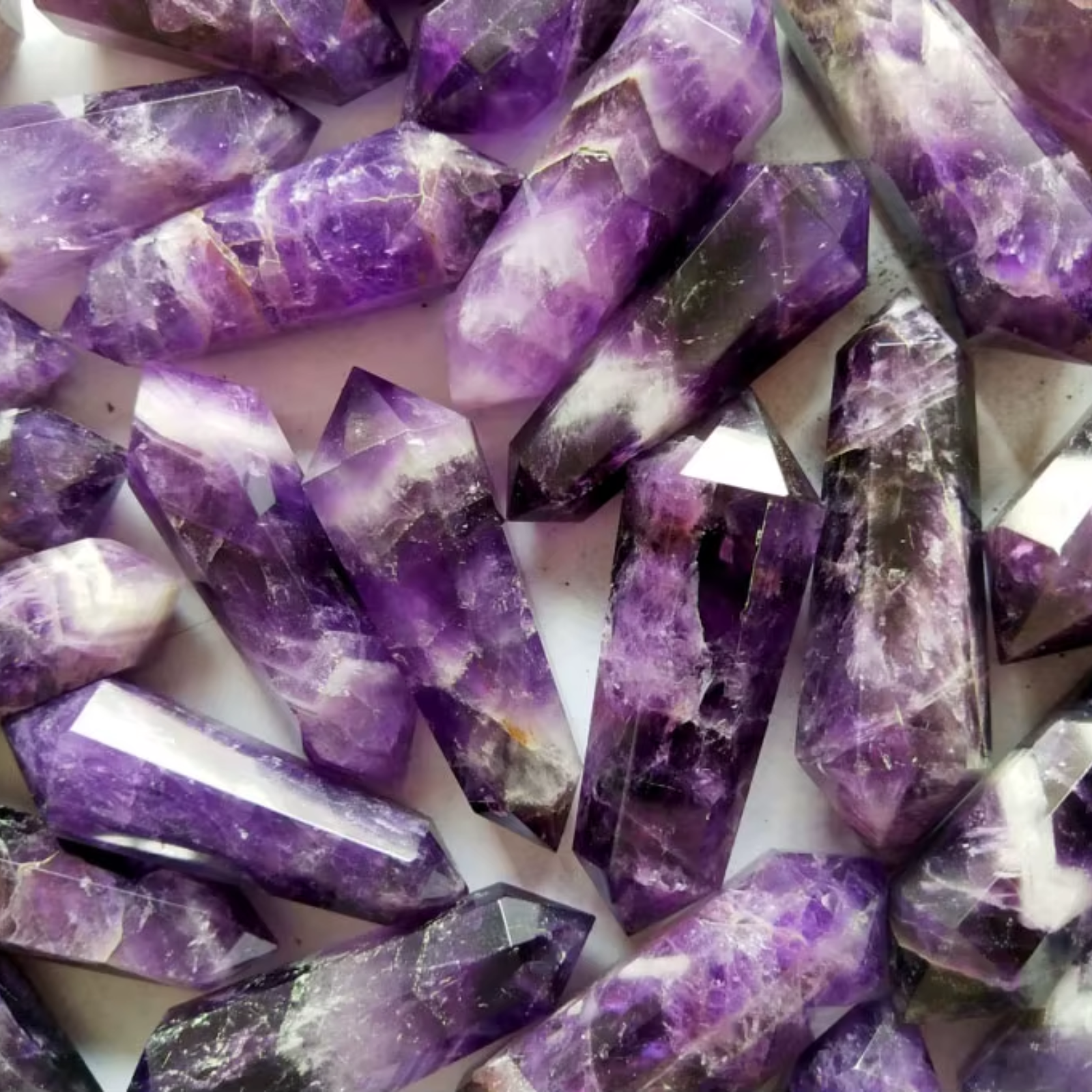 Pourpre