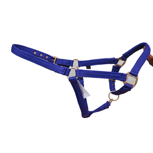 Adjustable Durable Nylon PP Horse <b>Halter</b> with Brass Buckle for Endurance Racing Custom Logo Equestrian Riding Accessories - Product Image 4