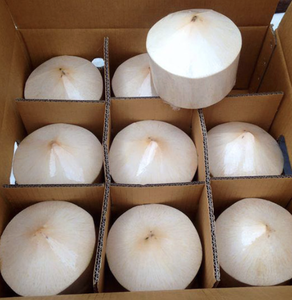 Coco joven fresco premium de Vietnam con piel verde para bebidas refrescantes y jugo natural para pedidos al por mayor en hoteles internacionales - Product Image 5