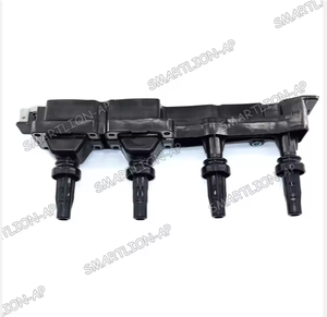 Bobines d'allumage moteur, pièces automobiles 5970.99 597099 5970.80 597080 pour Peugeot 307 206 - Product Image 5
